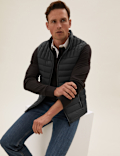 Feather and Down Gilet