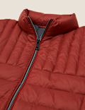 Pure Polyamide Plain High Neck Jacket