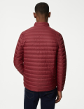 Zip Up Solid Puffed Jacket