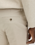 Regular Fit Stretch Chino Shorts