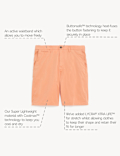 Cotton Mix Plain Regular Fit Chino Shorts