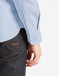 Pure Cotton Slim Fit Shirt with Pocket