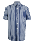 Striped Oxford Shirt