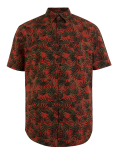 Pure Cotton Palm Print Shirt