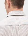 Regular Fit Pure Cotton Striped Shirt