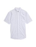 The Ultimate Pure Cotton Striped Oxford Shirt