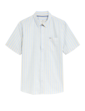 Pure Cotton Striped Oxford Shirt