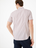 Pure Cotton Striped Shirt