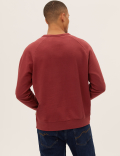 Pure Cotton Raglan Crew Neck Sweatshirt