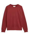 Pure Cotton Raglan Crew Neck Sweatshirt