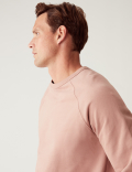 Pure Cotton Raglan Crew Neck Sweatshirt