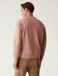 Pure Cotton Raglan Crew Neck Sweatshirt