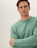 Pure Cotton Raglan Crew Neck Sweatshirt