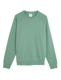 Pure Cotton Raglan Crew Neck Sweatshirt