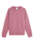 Pure Cotton Raglan Crew Neck Sweatshirt