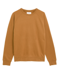 Pure Cotton Raglan Crew Neck Sweatshirt