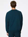 Pure Cotton Raglan Crew Neck Sweatshirt