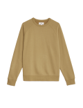 Pure Cotton Raglan Crew Neck Sweatshirt