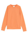 Pure Cotton Raglan Crew Neck Sweatshirt