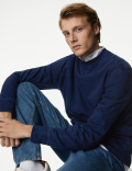 Relaxed Fit Pure Cotton Sweatshirt