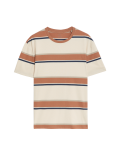 Pure Cotton Striped T-Shirt
