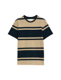 Pure Cotton Colour Block Striped T-Shirt