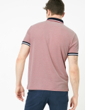Modal Rich Tipped Polo Shirt