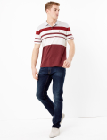 Cotton Striped Polo Shirt