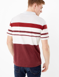 Cotton Striped Polo Shirt