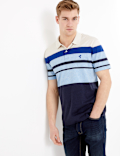 Cotton Striped Polo Shirt