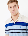 Cotton Striped Polo Shirt