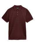Premium Pure Cotton Striped Polo Shirt