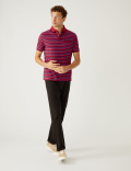 Pure Cotton Striped Polo Shirt