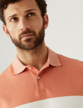 Pure Cotton Double Knit Polo Shirt