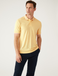 Modal Rich Tipped Collar Polo Shirt