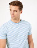 Premium Cotton Striped T-Shirt