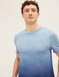 Pure Cotton Ombre T-Shirt