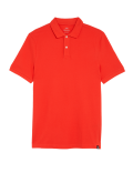 Pure Cotton Pique Regular Fit Polo Shirt
