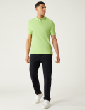 Pure Cotton Pique Regular Fit Polo Shirt