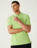 Pure Cotton Pique Regular Fit Polo Shirt