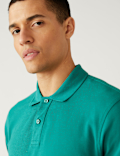 Pure Cotton Pique Regular Fit Polo Shirt