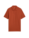 Pure Cotton Pique Regular Fit Polo Shirt
