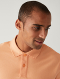 Pure Cotton Pique Regular Fit Polo Shirt