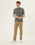 Pure Cotton Pique Regular Fit Polo Shirt