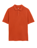 Pure Cotton Pique Regular Fit Polo Shirt