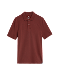 Pure Cotton Pique Regular Fit Polo Shirt