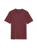 Regular Fit Pure Cotton Crew Neck T-Shirt