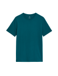 Regular Fit Pure Cotton Crew Neck T-Shirt