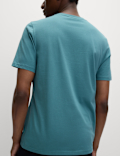 Regular Fit Pure Cotton Crew Neck T-Shirt