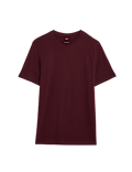 Regular Fit Pure Cotton Crew Neck T-Shirt